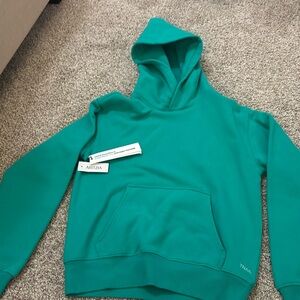 Aritzia cozy fleece perfect hoodie TNA Sweatfleece hoodie